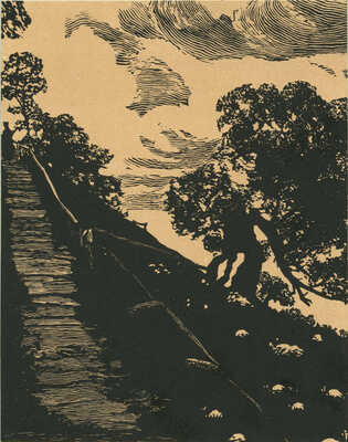 Павлов Иван Николаевич. Лот из 12 линогравюр 1919 г. и фотографии художника в папке: